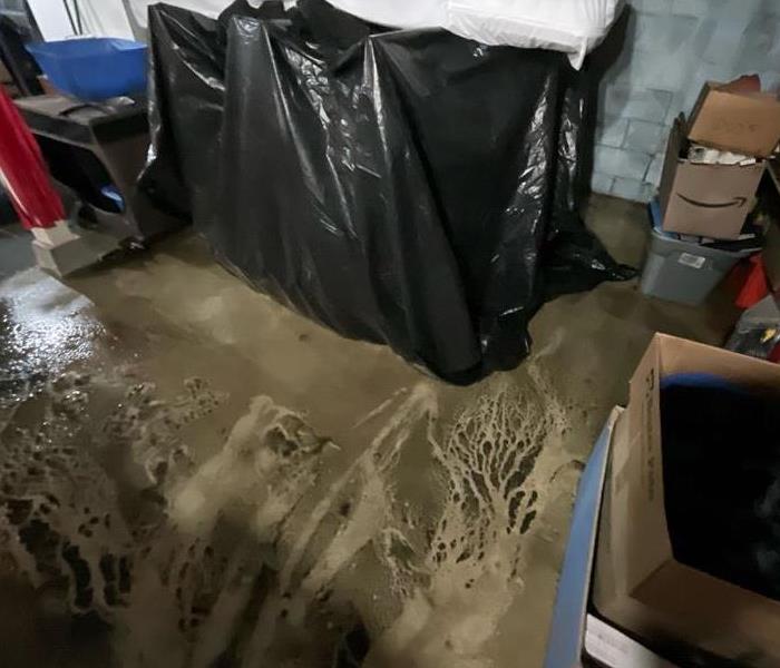 Sewage in basement