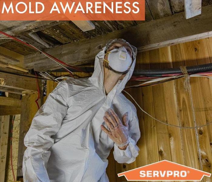 Be aware of mold's potential